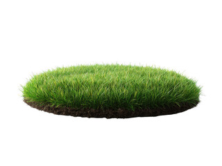 Lush green grass transparent background cutout png for nature landscape and graphic design projects