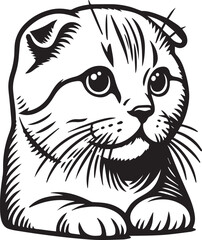 Scottish Fold Cat Vector in black and white