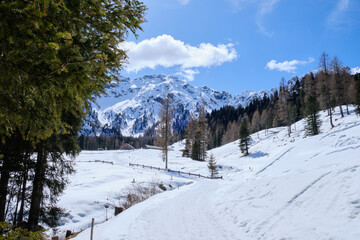 March 2025: Scenic view of snow covered mountains against sky, Fassa Valley.