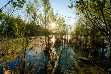 Cow Island nature reserve along the Marne river in Île-de-France Region. Précy-sur-Marne village