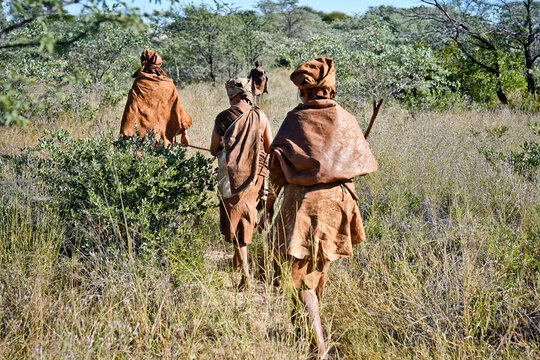 San people walking through the bush landscape from behind