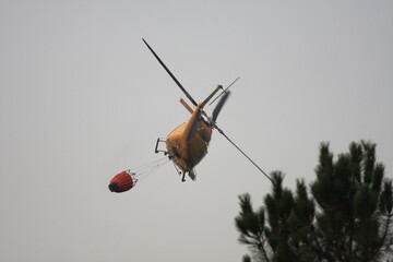 Work to extinguish a forest fire