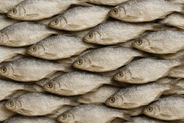 Obraz premium Dehydrated Salt-Cured Fish