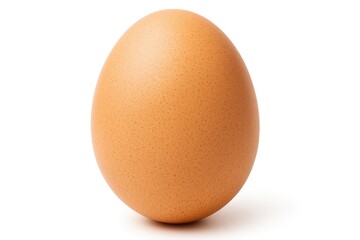Detailed view of a lone hen's egg