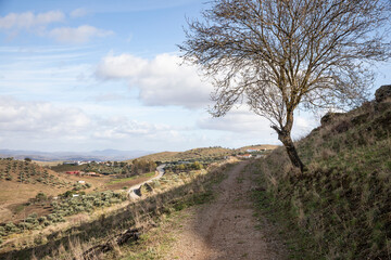 rural path on the slope of Montemolin castle, comarca of Tentudía, province of Badajoz,...