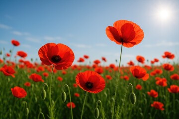 Obraz premium Vivid displays of revolutionary floral beauty