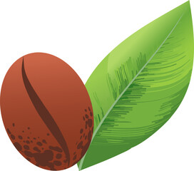 A coffee bean next to one green leav. The bean is brown with a split, and the leaves are vibrant and fresh, representing coffee cultivation and nature