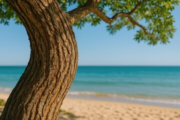 Fototapeta premium Stunning tree base along the shoreline