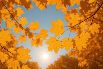 Golden foliage drifting across the sky with the setting sun