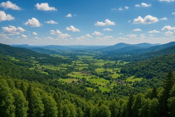 Naklejka premium Stunning aerial perspective of a lush valley