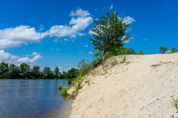 The picturesque landscapes of the summer Desna River in the Kyiv region captivate with lush...