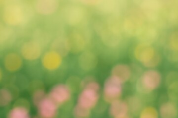 Obraz premium Abstract nature with a blurred background