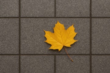 Early autumn scene with a solitary yellow leaf on a gray urban pavement under overcast skies