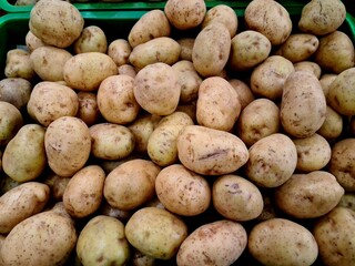 Fresh potatoes stacked on table, raw root vegetables commonly used in cooking, baking, and frying, essential in global cuisine and food industry.