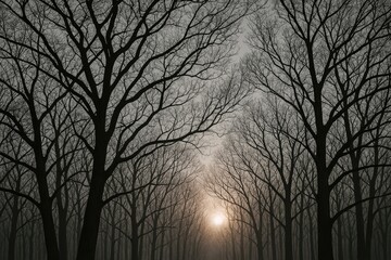 Monochrome tree limbs and twigs