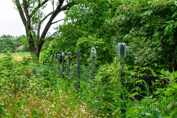 A simple fence separates the residential property from the dense forest, creating a clear boundary...