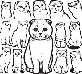 Scottish Fold Cat Vector in black and white
