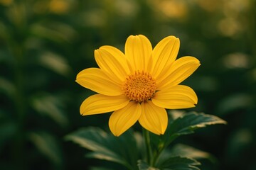 Obraz premium Stunning Bright Blossom Amid Lush Foliage - Nature Photography