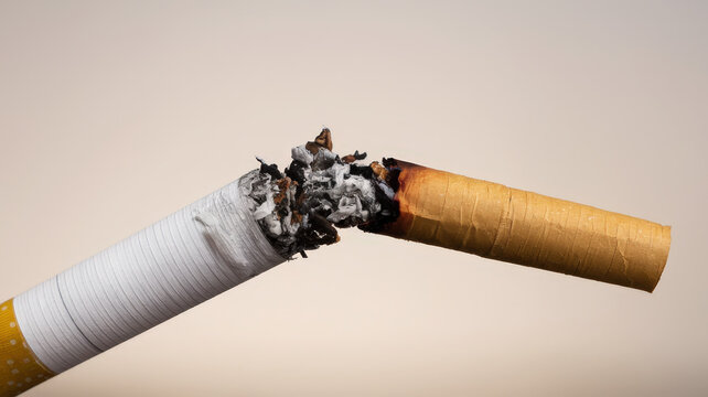 Broken cigarette with burnt edges on neutral background, symbol of quitting smoking, stopping nicotine addiction, concept for health awareness and anti-smoking campaigns, close-up macro shot