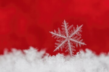 Macro overview of snowflake intricacies