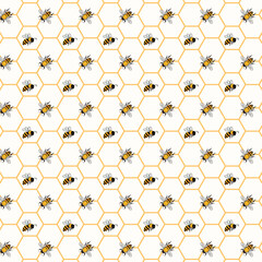 White background with honeycombs.Vector seamless pattern with bees and honeycombs on a white background.