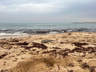 Waves crashing on sandy beach with seaweed on cloudy day