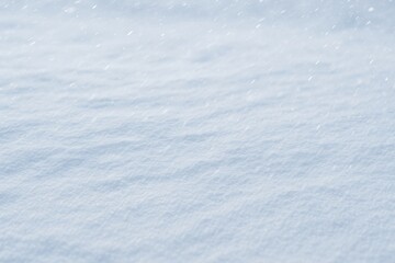 Obraz premium Frozen winter scene with snow and a blizzard in the background