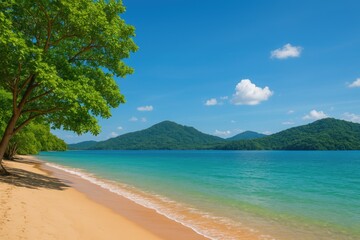 Tropical Marine Wilderness and Forests by the Coast