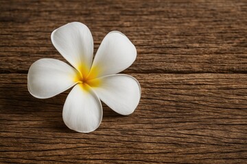 Fototapeta premium Fragrant Plumeria Blossoms Resting on Vintage Timber