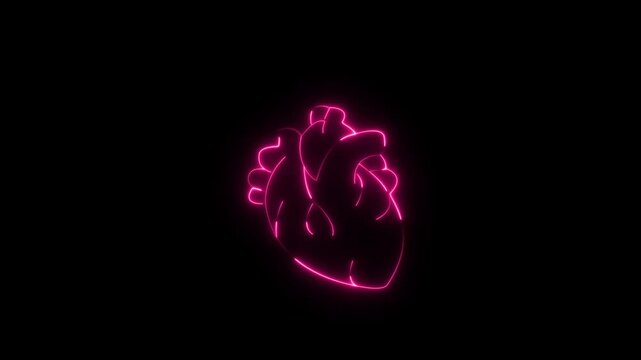 Human Heart icon .Cardiology logo design template. Human anatomy medical concept. Anatomically correct human heart beating on a dark red background, representing health, love, and life