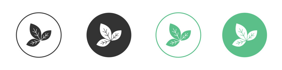 Basil icon Vector simple flat graphic illustration.