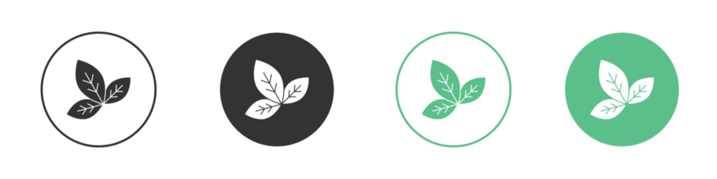 Basil icon Vector simple flat graphic illustration.