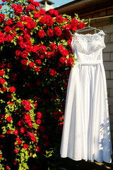 White dress hanging by blooming roses. A white dress is hanging on a line next to vibrant red rose bushes in full bloom under the bright sunlight.
