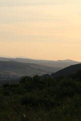 In the Nature - photographs taken by me