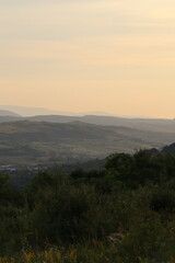 In the Nature - photographs taken by me