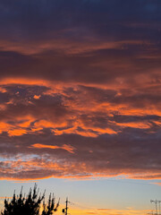 A peaceful sunset over the ocean, with vibrant orange hues reflecting on the waves as they gently reach the sandy shore.” 