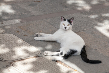 Fototapety na wymiar - Fototapeta24.pl