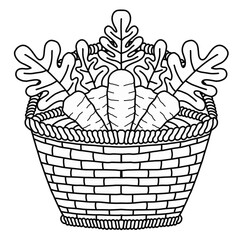 Fresh farm carrots in basket hand drawn vector illustration