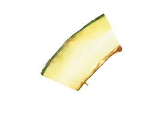 Melon Slice, Hand Painted Watercolor Illustration, Sweet Summer Melon Art, Healthy Eating, Fresh Snack, Organic