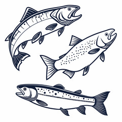 Three leaping salmon fish jumping aquatic