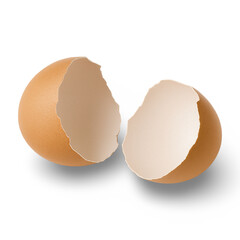 Broken egg shell