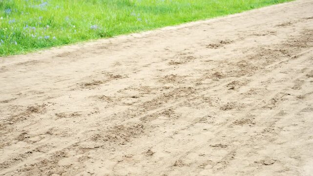 Close-up of horse hooves in a sidecar race on a racetrack, slow motion