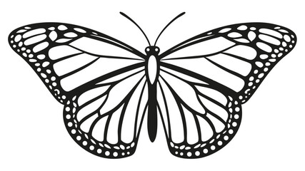 Butterfly silhouette with intricate wing details