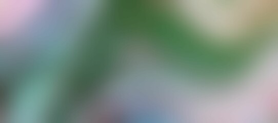 Abstract gray-green blurry background. Pastel shades. Background of the rear view.