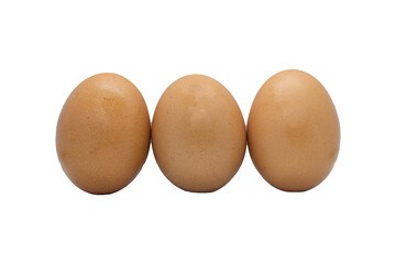 Chicken eggs on white background, png