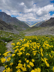 Fototapeta premium The most famous high mountain plateau in the Black Sea region, Kaçkar Mountain, Rize, Turkey
