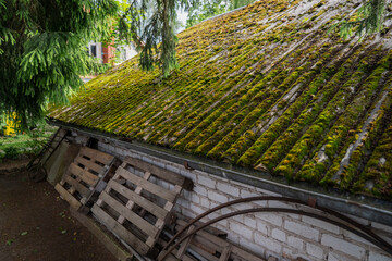 old moss covered roof on rustic brick shed with wooden pallets and metal wheels under pine tree,...