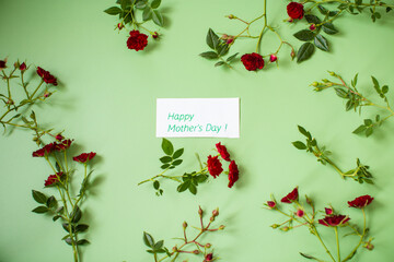 Arrangement of small red roses isolated on green