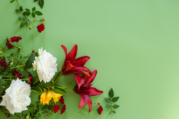 Floral botanical drawing of red lilies with red and white roses on a green background