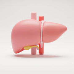 Minimal 3D Illustration of Human Liver with Gallbladder and Veins, Ideal for Medical and Educational Use